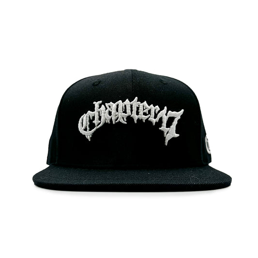 Chapter 17 Text Snapback