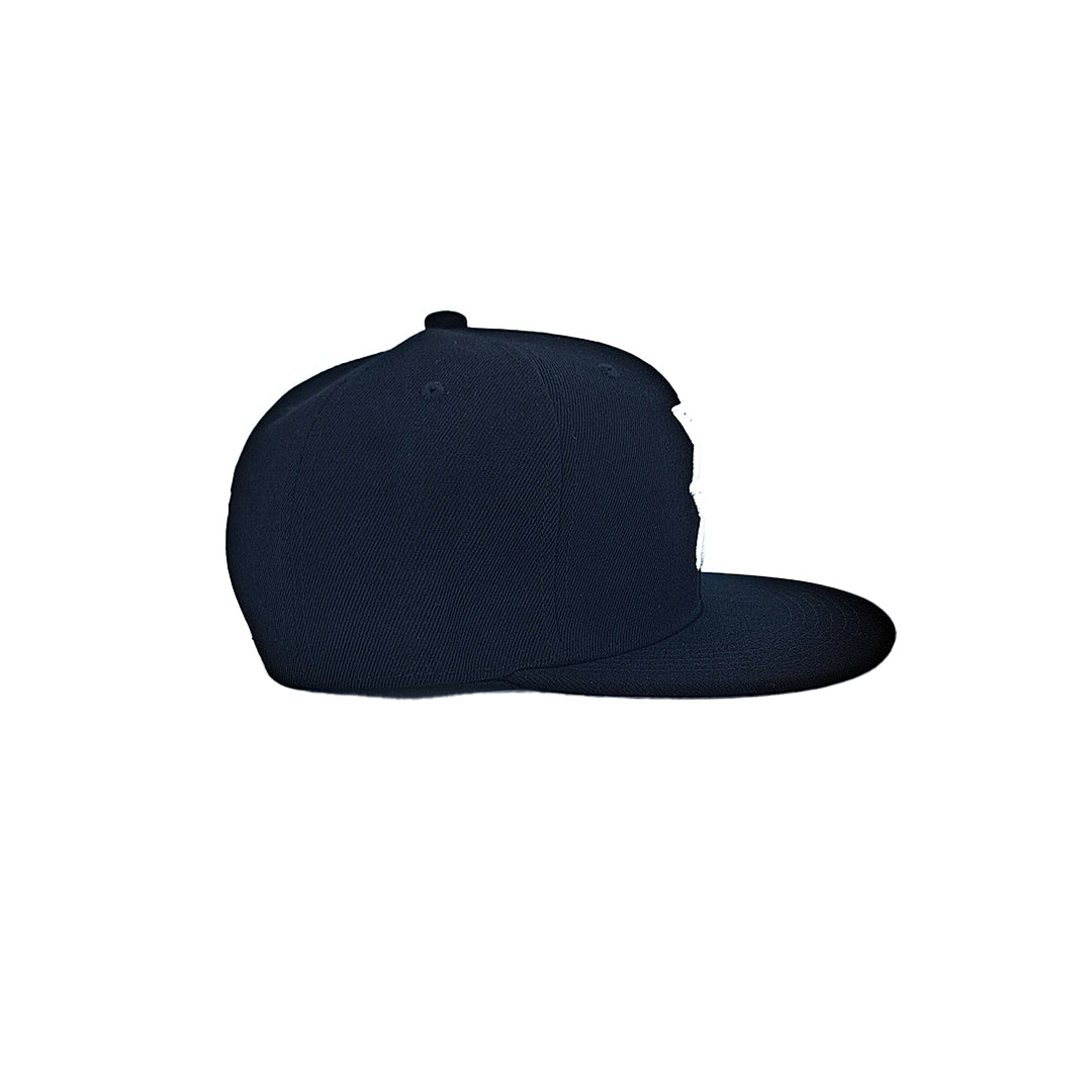 Temple of Ash - Snapback - Black and White