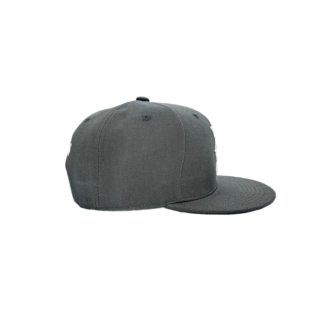 Temple of Ash - Snapback - Ash Grey