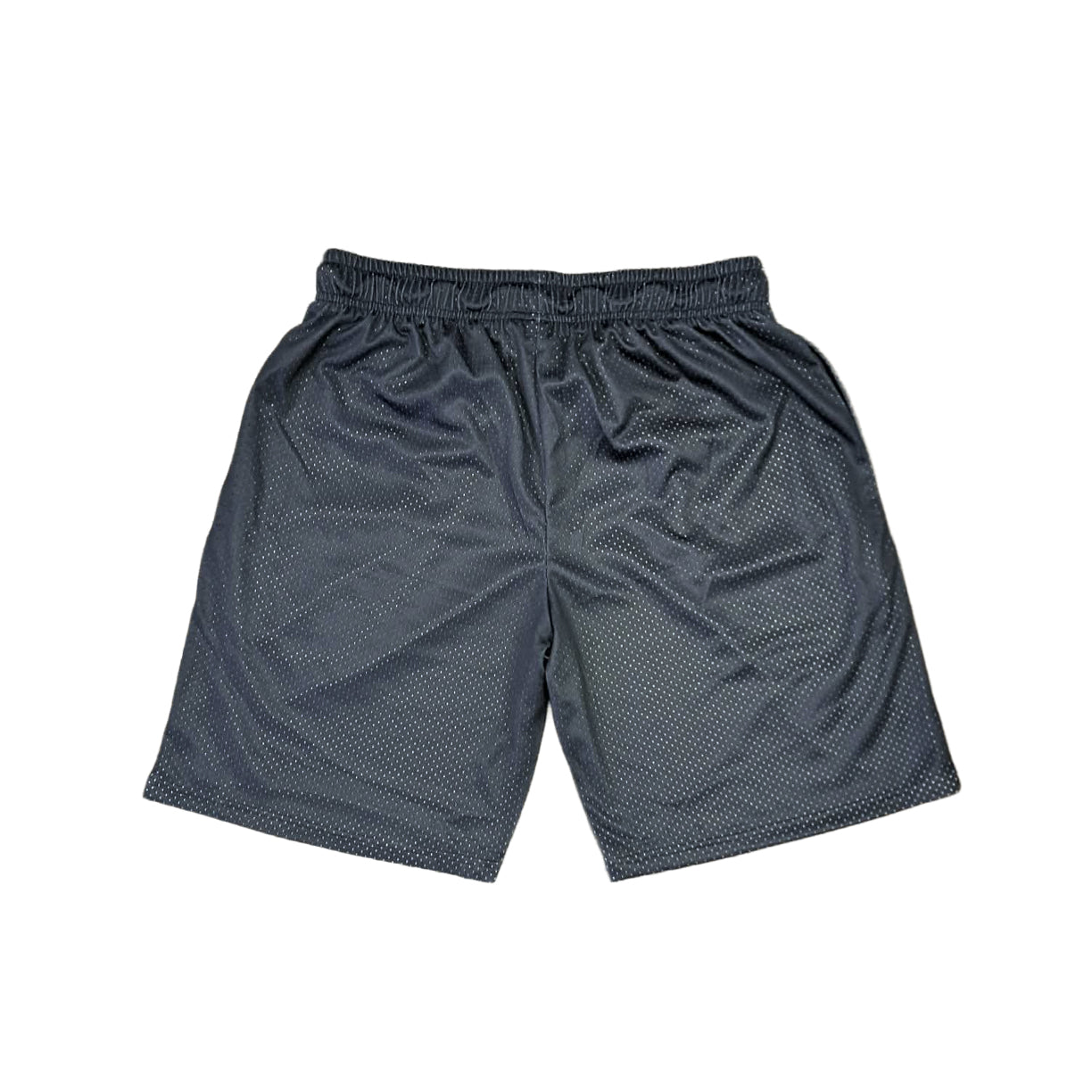 Chapter 17 Shorts - Black Death