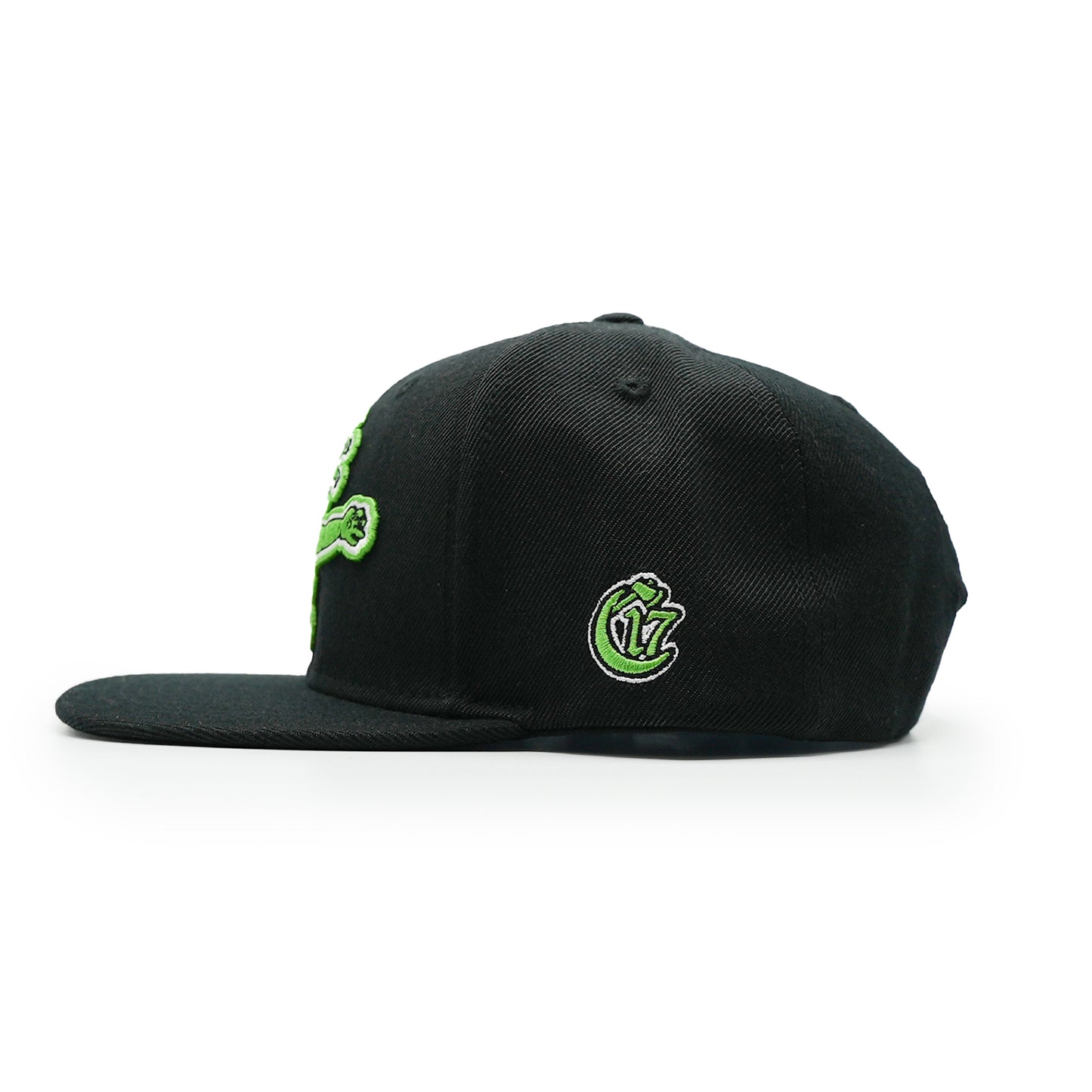 Elements Snapback - Gutterwater - Black w/ Green Logo