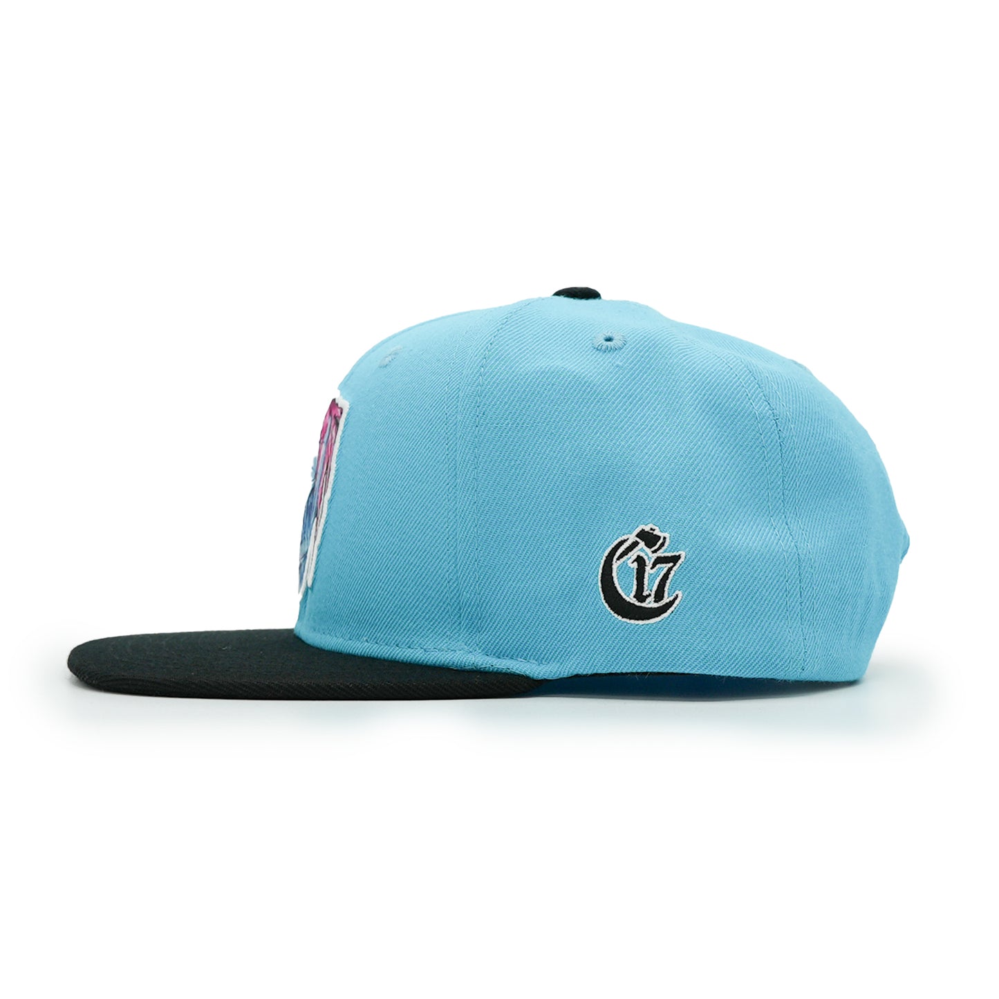 Elements Snapback - Stalewind - Stale Blue