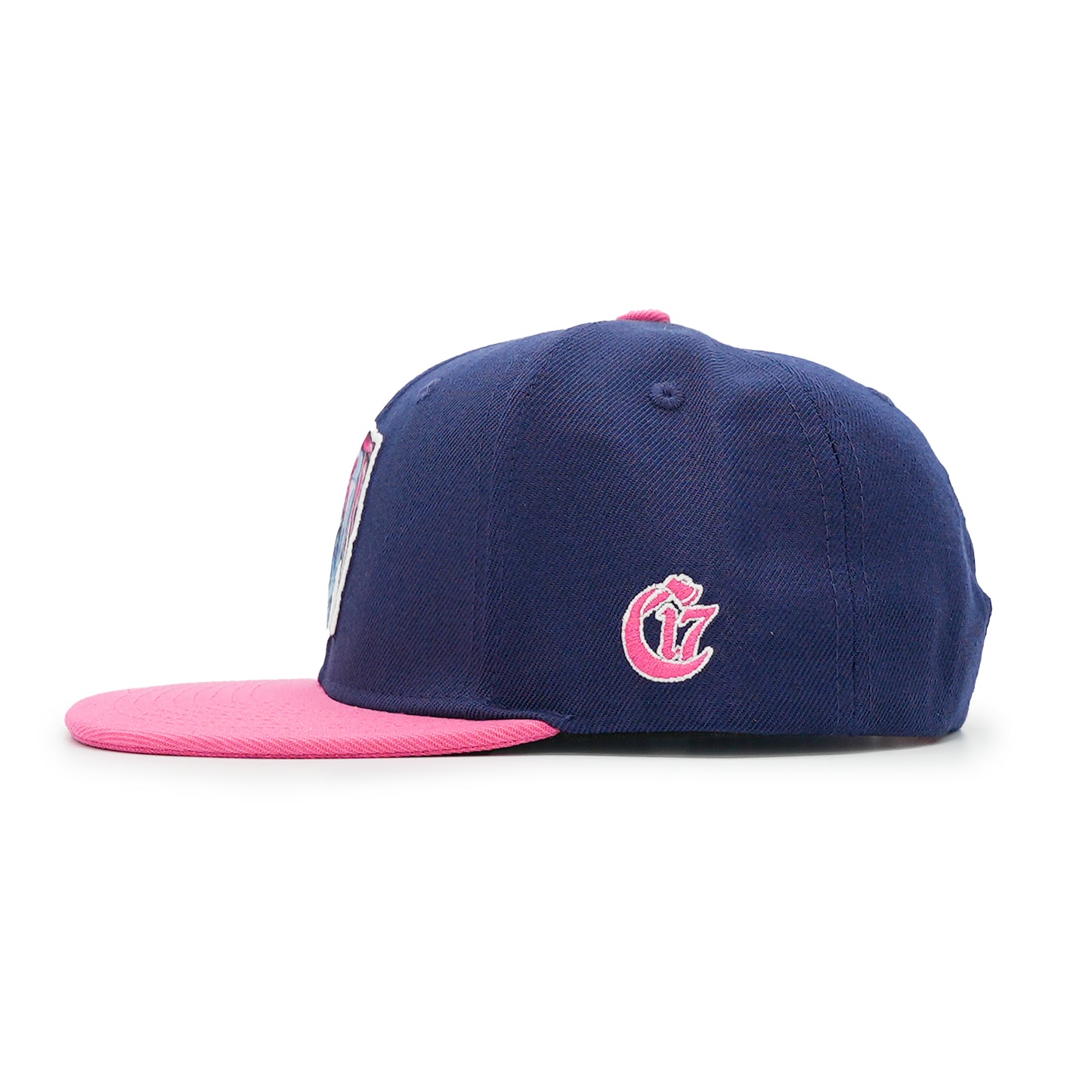 Elements Snapback - Stalewind - Navy and Pink