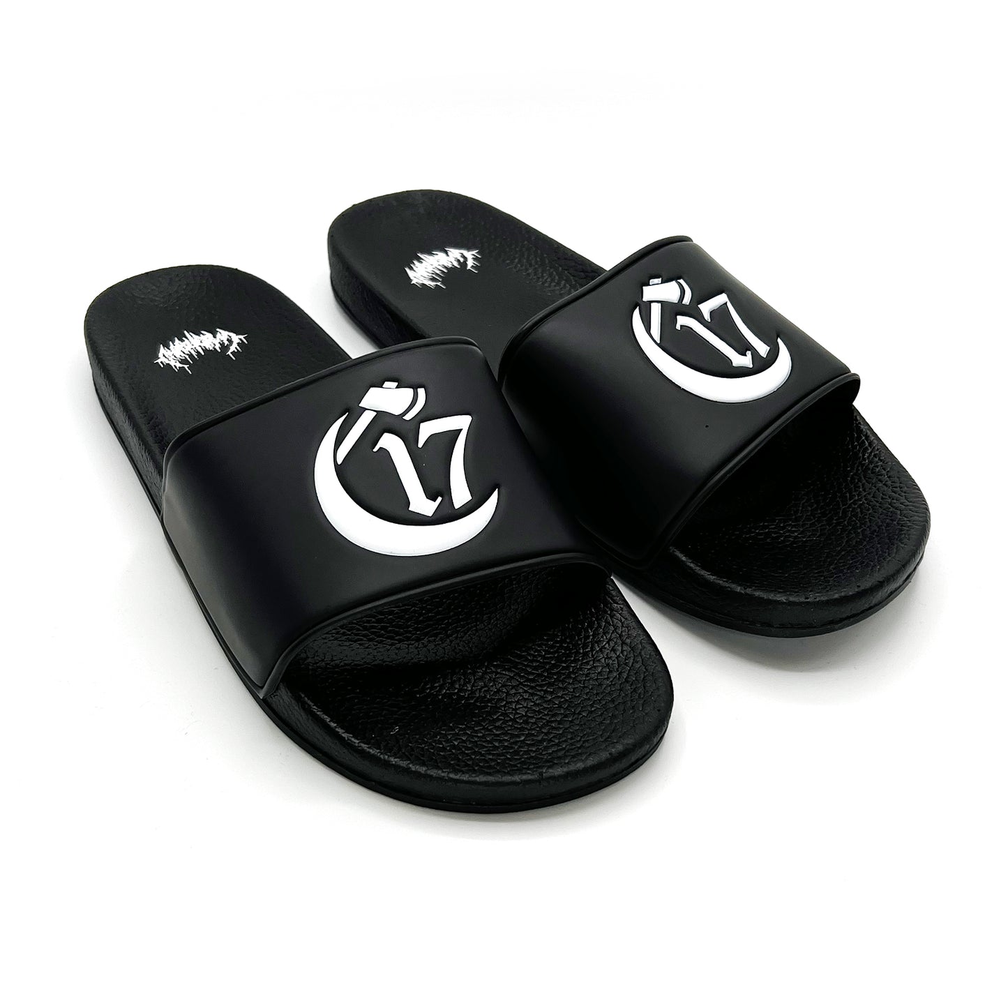 Chapter 17 Luxury Slides V2