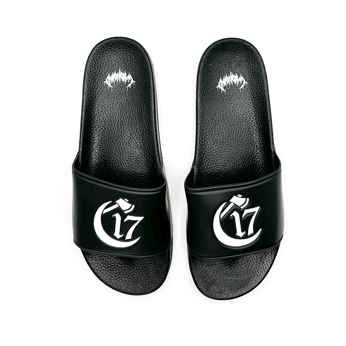 Chapter 17 Luxury Slides V2