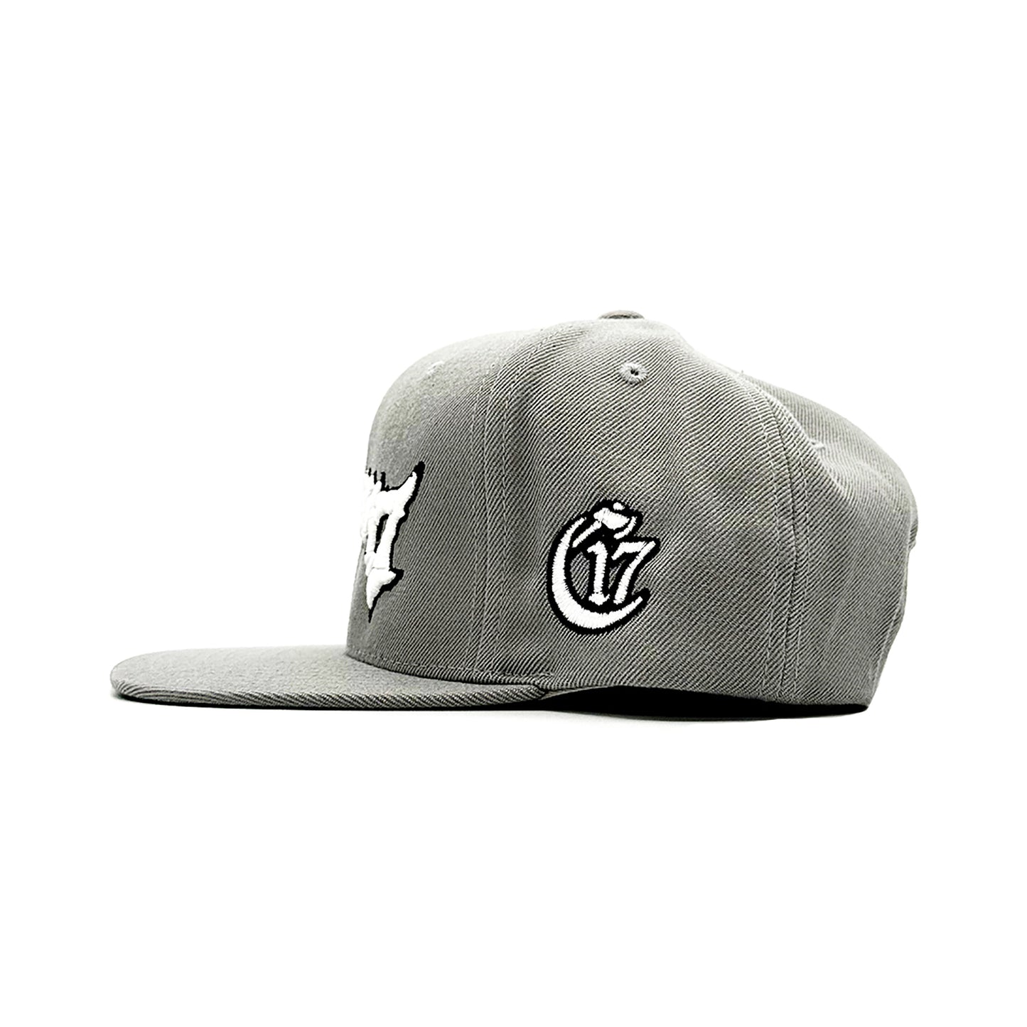 Chapter 17 text logo - Snapback - 2023 - Grey