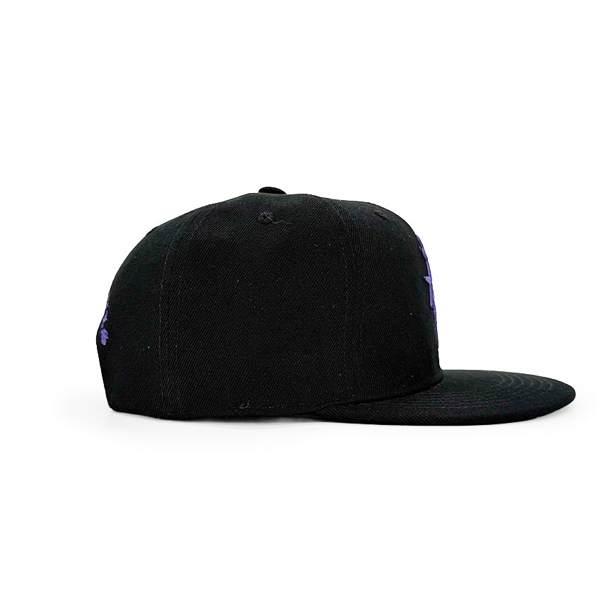 Pyramid of Skulls - Snapback - Black and Purple