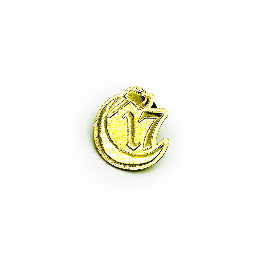 Chapter 17 - Official C17 1" die cut - Gold & Silver pin
