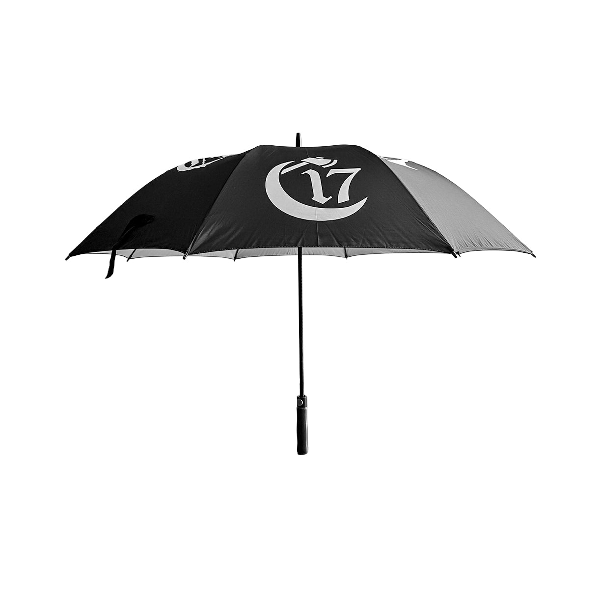 Chapter 17 Umbrella - Script