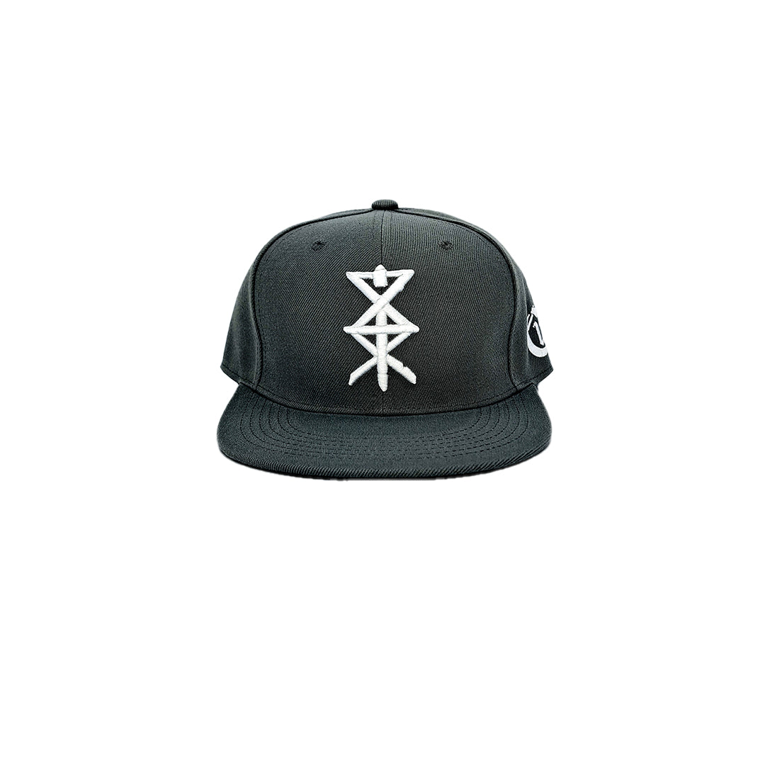 Temple of Ash - Snapback - Ash Grey