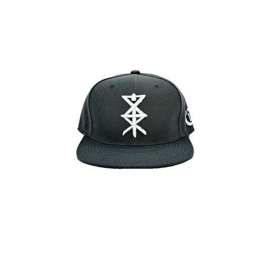 Temple of Ash - Snapback - Ash Grey