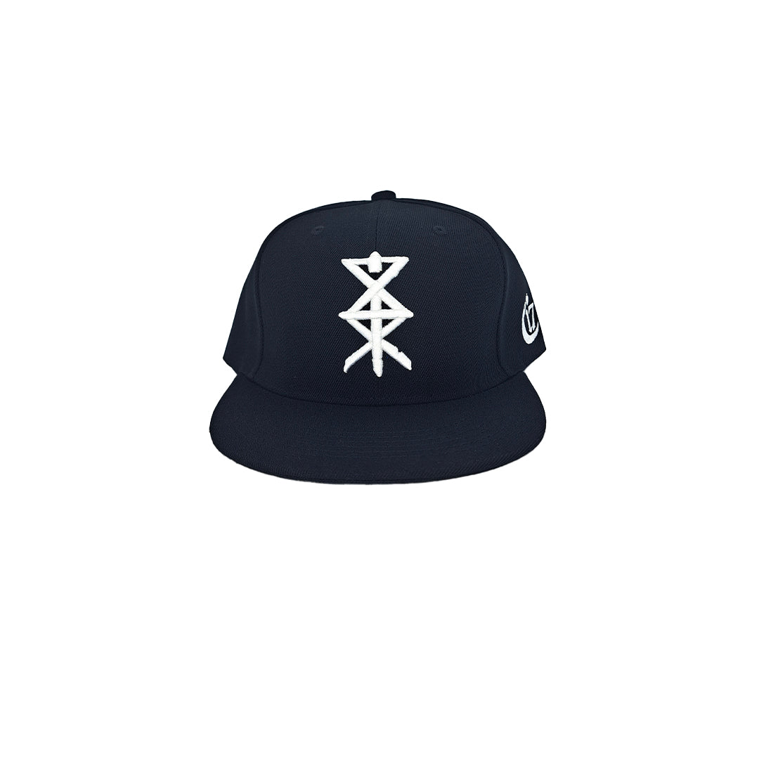 Temple of Ash - Snapback - Black and White