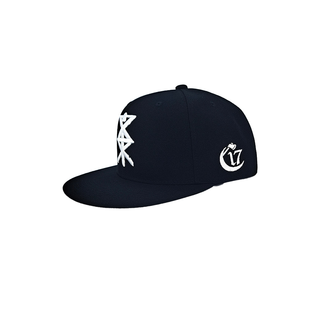 Temple of Ash - Snapback - Black and White