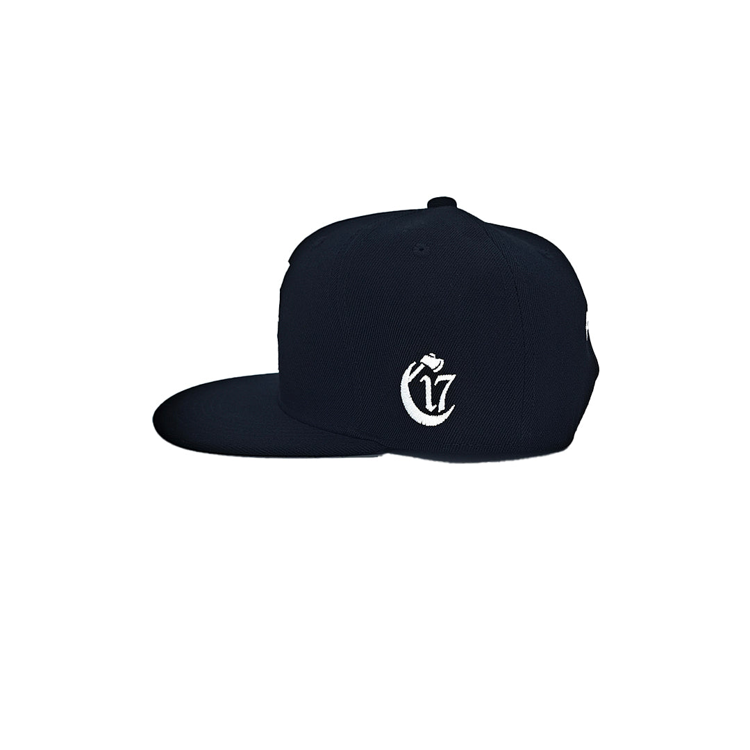 Temple of Ash - Snapback - Black and White