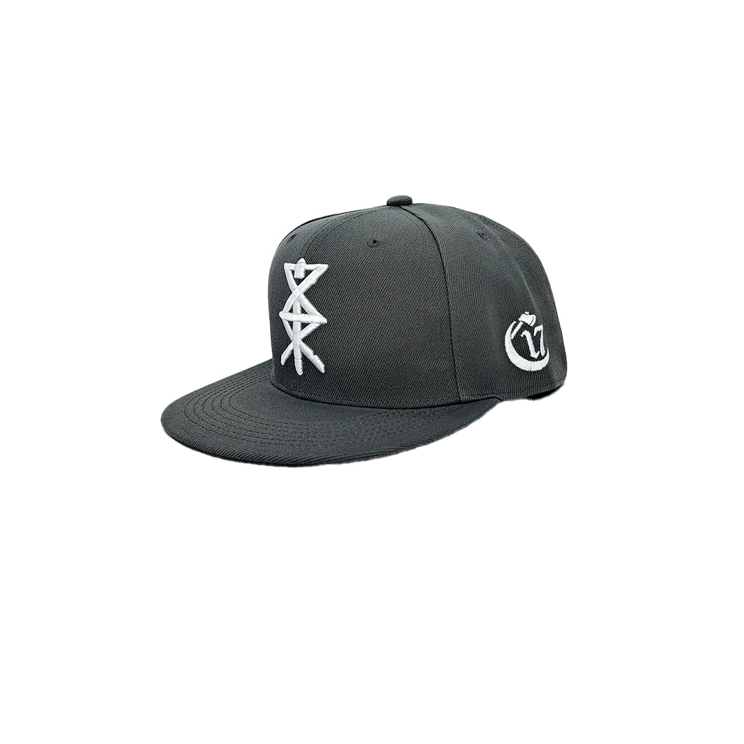 Temple of Ash - Snapback - Ash Grey