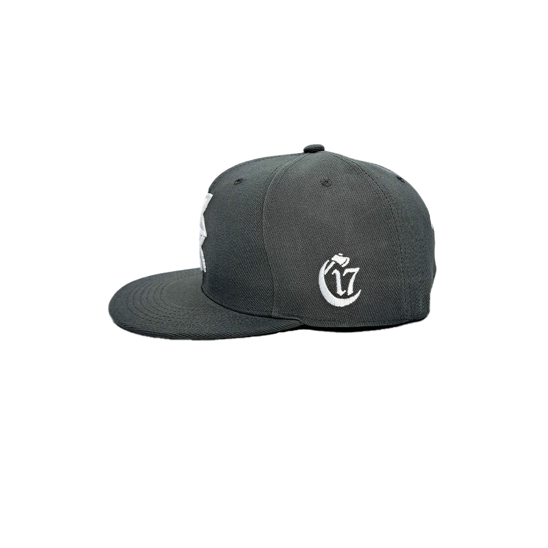 Temple of Ash - Snapback - Ash Grey