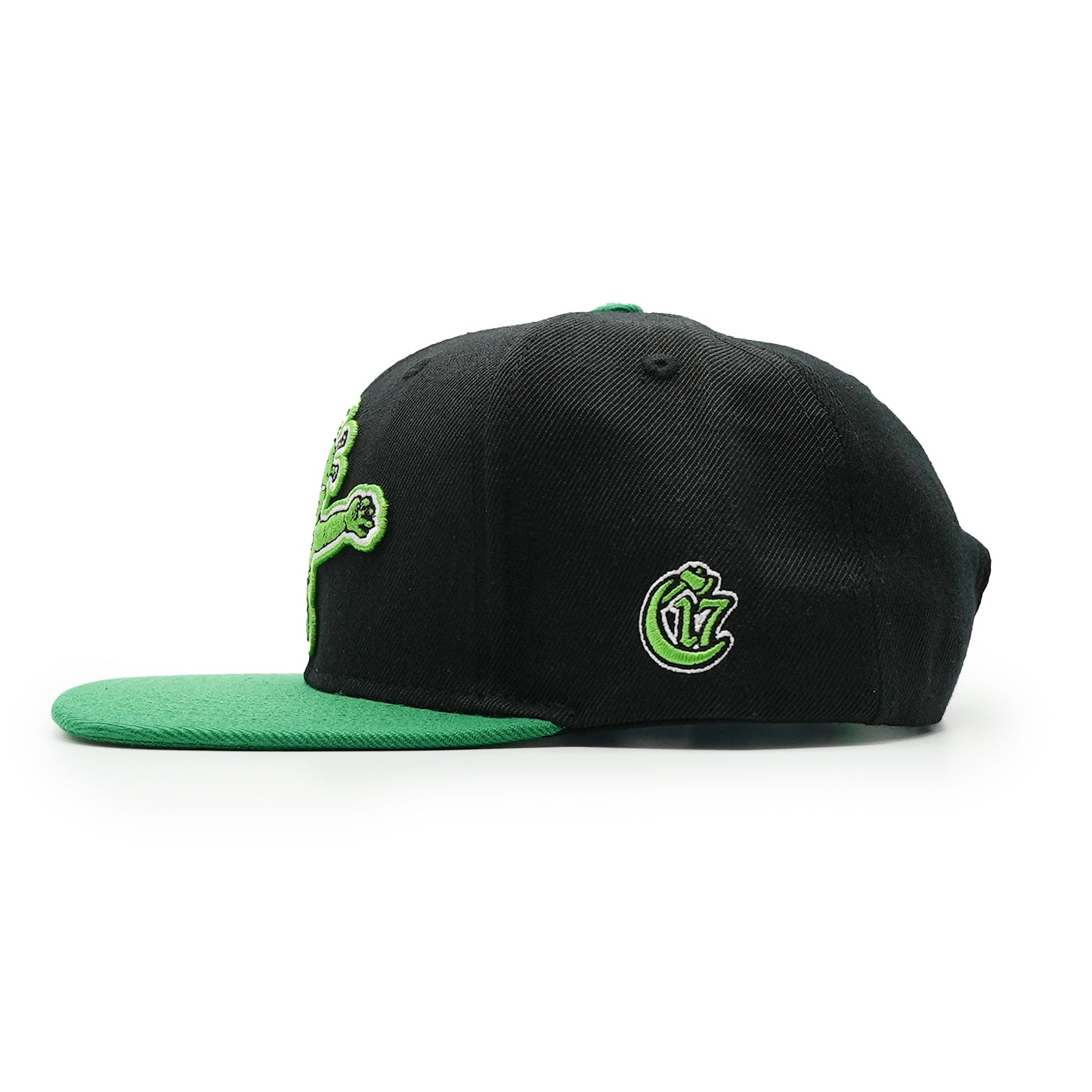 Elements Snapback - Gutterwater - Black and Green