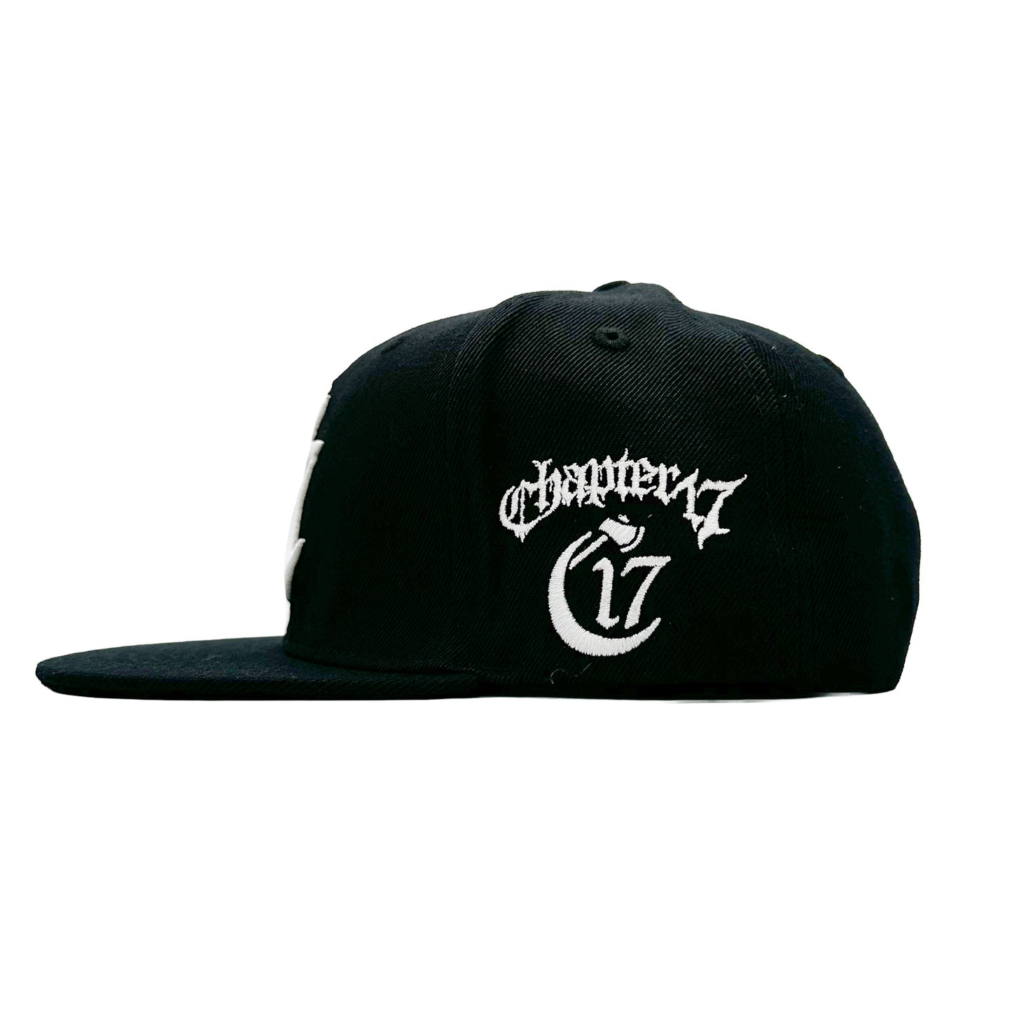 2025 C17 Logo Snapback