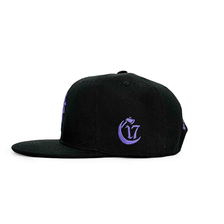 Pyramid of Skulls - Snapback - Black and Purple