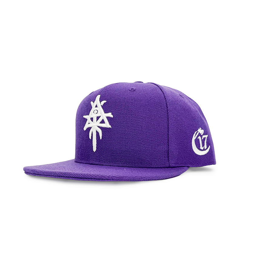 Pyramid of Skulls - Snapback - Purple