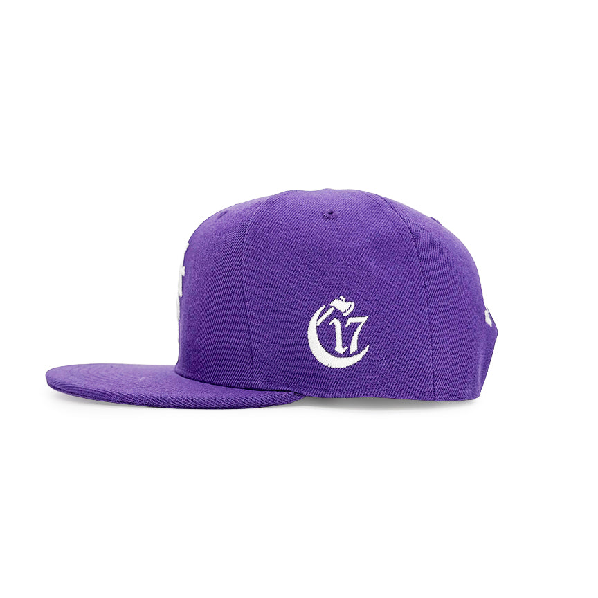 Pyramid of Skulls - Snapback - Purple